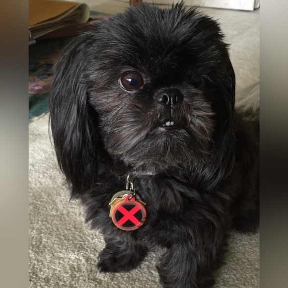 Meet your Posher, Amy - Picture 3 of 5